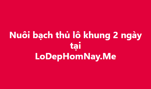 bạch thủ lô khung 2 ngày