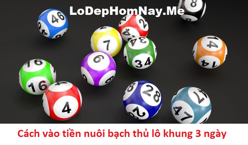 Cách vào tiền nuôi bạch thủ lô khung 3 ngày đem lại lợi nhuận cao