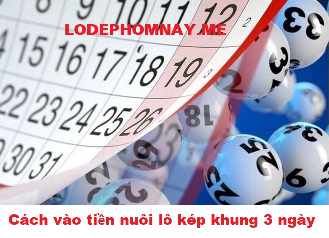 Cách vào tiền nuôi lô kép khung 3 ngày hiệu quả