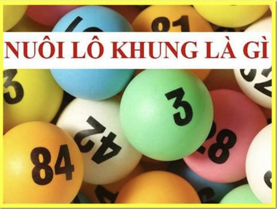 Nuôi lô khung